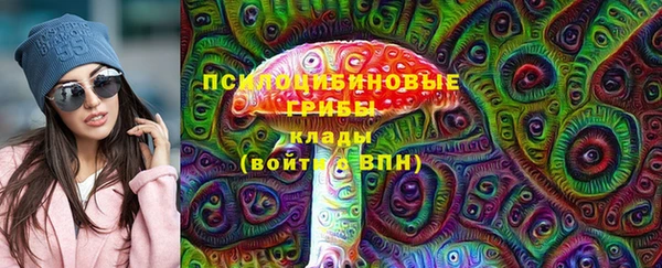 винт Горняк