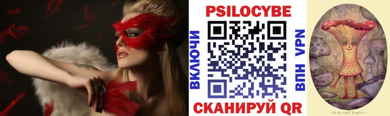 Псилоцибиновые грибы прущие грибы Неман