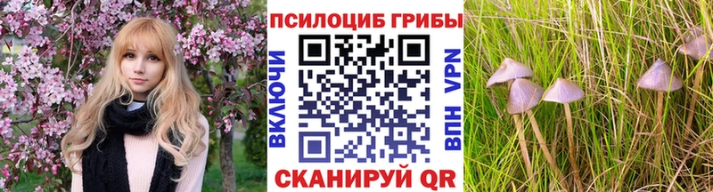 Псилоцибиновые грибы ЛСД  где можно купить   omg как зайти  Неман 